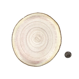 Small 5.1 to 6.7 inch natural wood slice size option for engraving