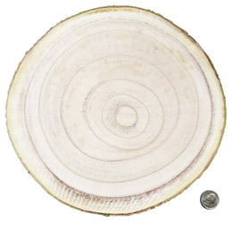 Large natural wood slice blank with bark edge for custom pet photo engraving