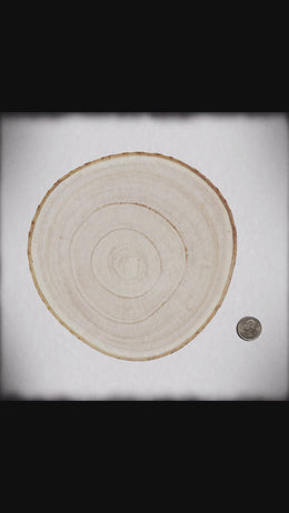 Personalized Family Photo Wood Slice Keepsake